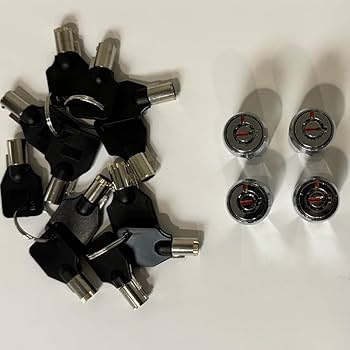 ky様 RiKey Security - 4X Storage Cylinder Locks KEYED Alike with